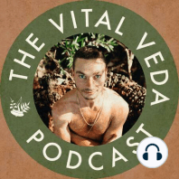 Assimilating Rich Yogic Traditions Relevant For Today | Eddie Stern #053