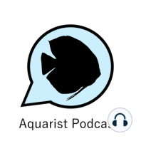 Ep. 20 - Cory McElroy of Aquarium Co-Op on international differences in the hobby