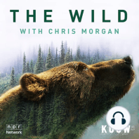 KUOW's THE WILD with Chris Morgan returns in February