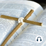 365 dias para la Biblia - Dia 105