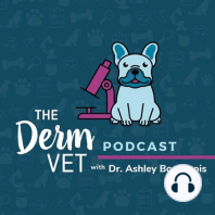 67. Improving the veterinary-client relationship