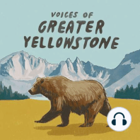 Tribal Rights and Yellowstone's 150th Anniversary