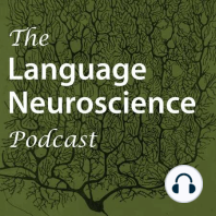 'Functional organization for verb generation in children with developmental language disorder' with Saloni Krishnan