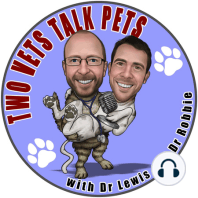 Two Vets Talk Pets vs That Vet Life – Ep 43