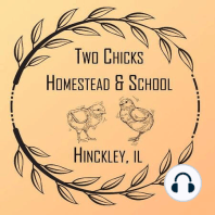 Episode 3: What the Cluck, It's Chickens