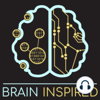 BI 115 Steve Grossberg: Conscious Mind, Resonant Brain
