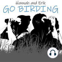 BONUS: Birding Panel Discussion