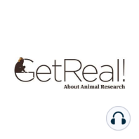 Replacing Animals in Research