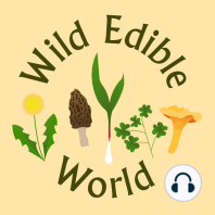 Wild Edible World: A Foraging Podcast (Trailer)