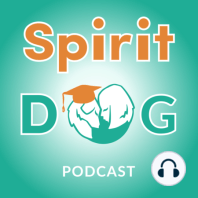 8. Should you feed your dog at the same time every day?