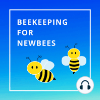 Episode 27 - Opening The Overwintered Hives