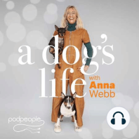 A Dog's Life Promo