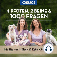 4. Wie lernen Hunde neue Wörter?