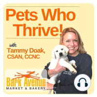 Life Changing Habits For You & Your Pets - Interview with Debbie Termin
