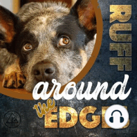 Bonus Episode 006 | Does doing the best for your dog have to feel hard?