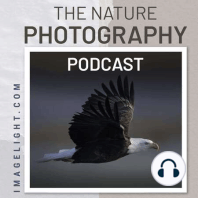 Photographing Hummingbirds