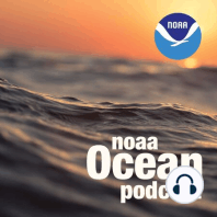 Dealing with Dead Zones: Hypoxia in the Ocean