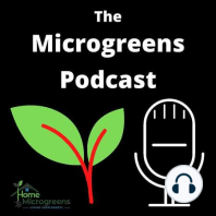 Episode 005 How to Grow Celery Microgreens