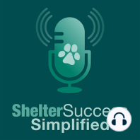 Best ways to reduce stress in shelter animals - Ep 2