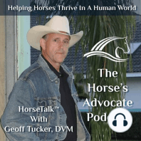 Sleep In Horses - #013 The Horse's Advocate Podcast