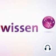 Amsel, Drossel, Fink und Star – Wo sind unsere Vögel hin?