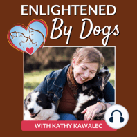 EBD014 Reactive Dog Transformation - Cindy Shares Her Story