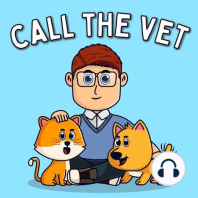 Not One More Vet - the reality of life working as a veterinarian
