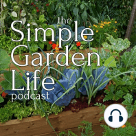 Eliminating Weeds From Your Garden, The Secrets To Success! - Episode 105