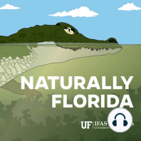 Special Interview with Dr. Scott Angle, UF Sr. Vice President of Agriculture and Natural Resources