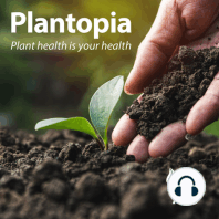 Rising to the Occasion: Moving Up Through the Plant Pathology Industry