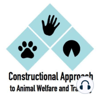 Episode 11: Constructional Approach to Leash Walking