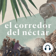 Rituales mezcaleros con Asis Cortés y Mar de Cortés