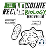 The APsolute Recap: Biology Edition - Prokaryotic vs. Eukaryotic Cells