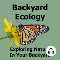 Important Backyard Ecology News and Changes