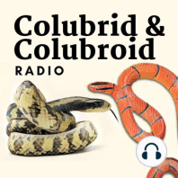 Grabowsky Ratsnakes and Herpetoculture Talk w/Mike Rapley