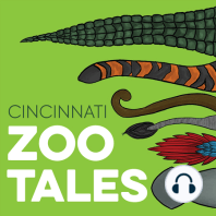 Cincinnati Zoo Tales Trailer