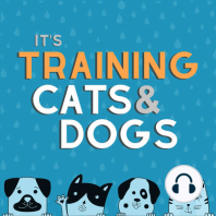 The Why of "It's Training Cats and Dogs"