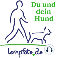 003 Glücklicher Hund – Lösung 2