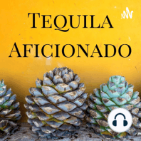 Sipping Off the Cuff | Distinguido Tequila Silver