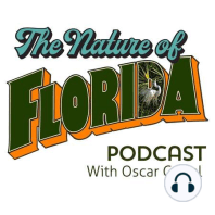 Fran Mainella, the former director of the U.S. National Parks Service and Florida's state park system, talks about the possibility of a national park in Florida for springs.