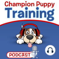 Start your  Puppy Training with the End in Mind