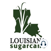 Dr. Mike Strain of the Louisiana Dept. of Agriculture & Forestry on 2020 Ag Issues