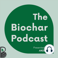 Biochar's effects on soil and plants