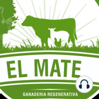 El Mate Live #1 junto a Juan Dutra