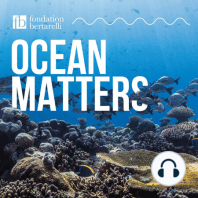 BONUS – What is a Marine Protected Area?