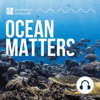 COP26 – Fighting for our Ocean