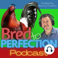 Ep16 - The Chicken Fun Zone - the jokes are flying
