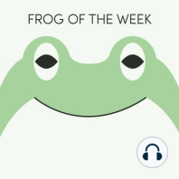 Amazon Milk Frog | Week of June 7th