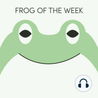 Archey's Frog | Week of August 9th