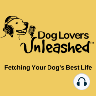 Hip Dysplasia In Dogs - Surgical and Non-Surgical Treatment Options With Orthopedic Surgeons, Dr. Daly and Dr. Csiszer - Part 1 of 3, Episode 015